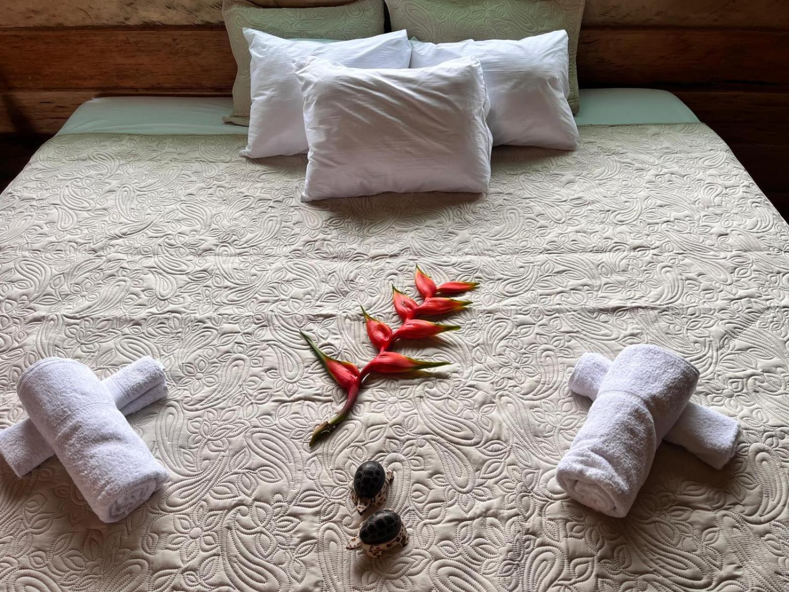 Purachata Ecolodge Iquitos Eksteriør bilde
