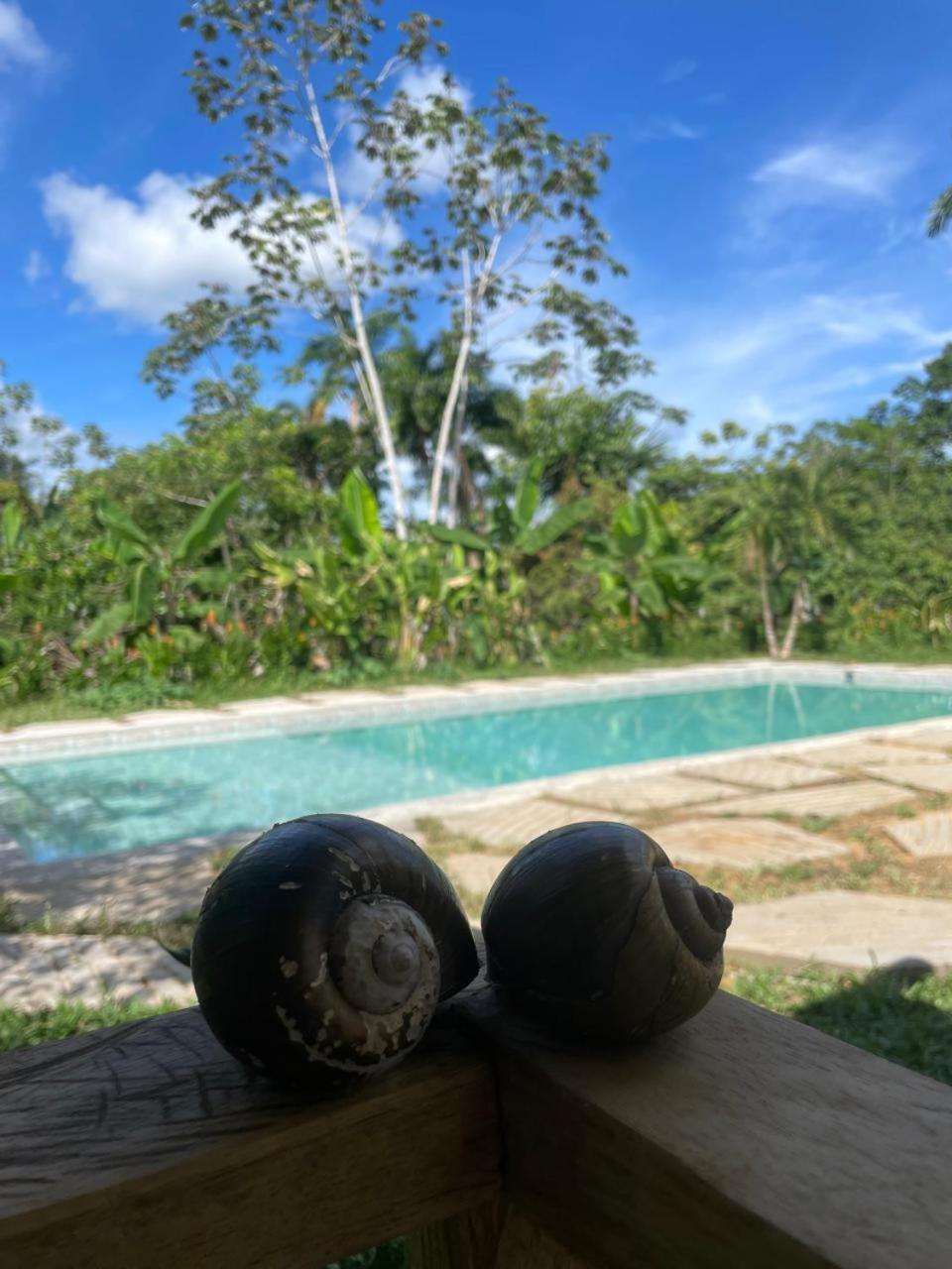 Purachata Ecolodge Iquitos Eksteriør bilde
