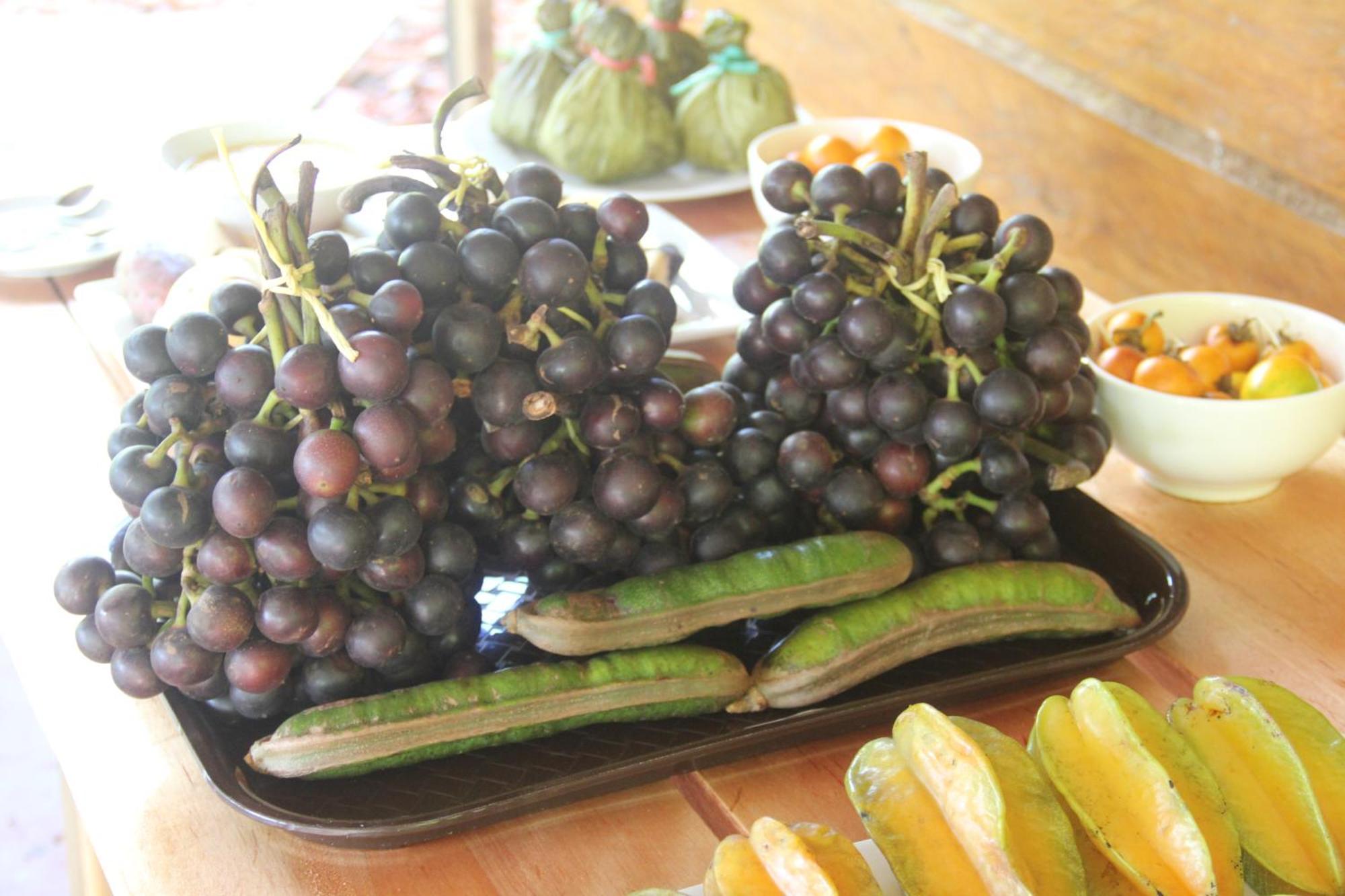 Purachata Ecolodge Iquitos Eksteriør bilde