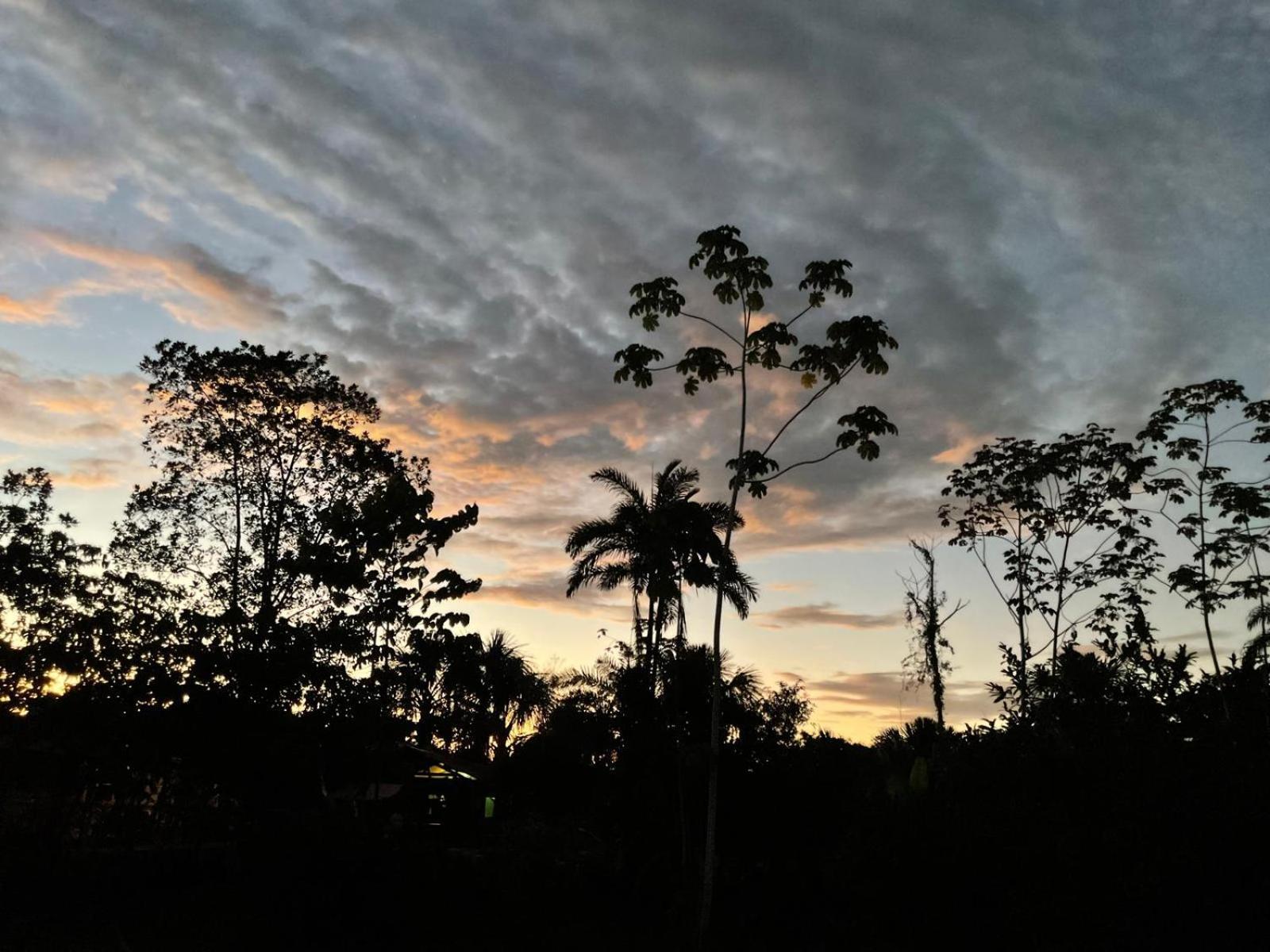 Purachata Ecolodge Iquitos Eksteriør bilde