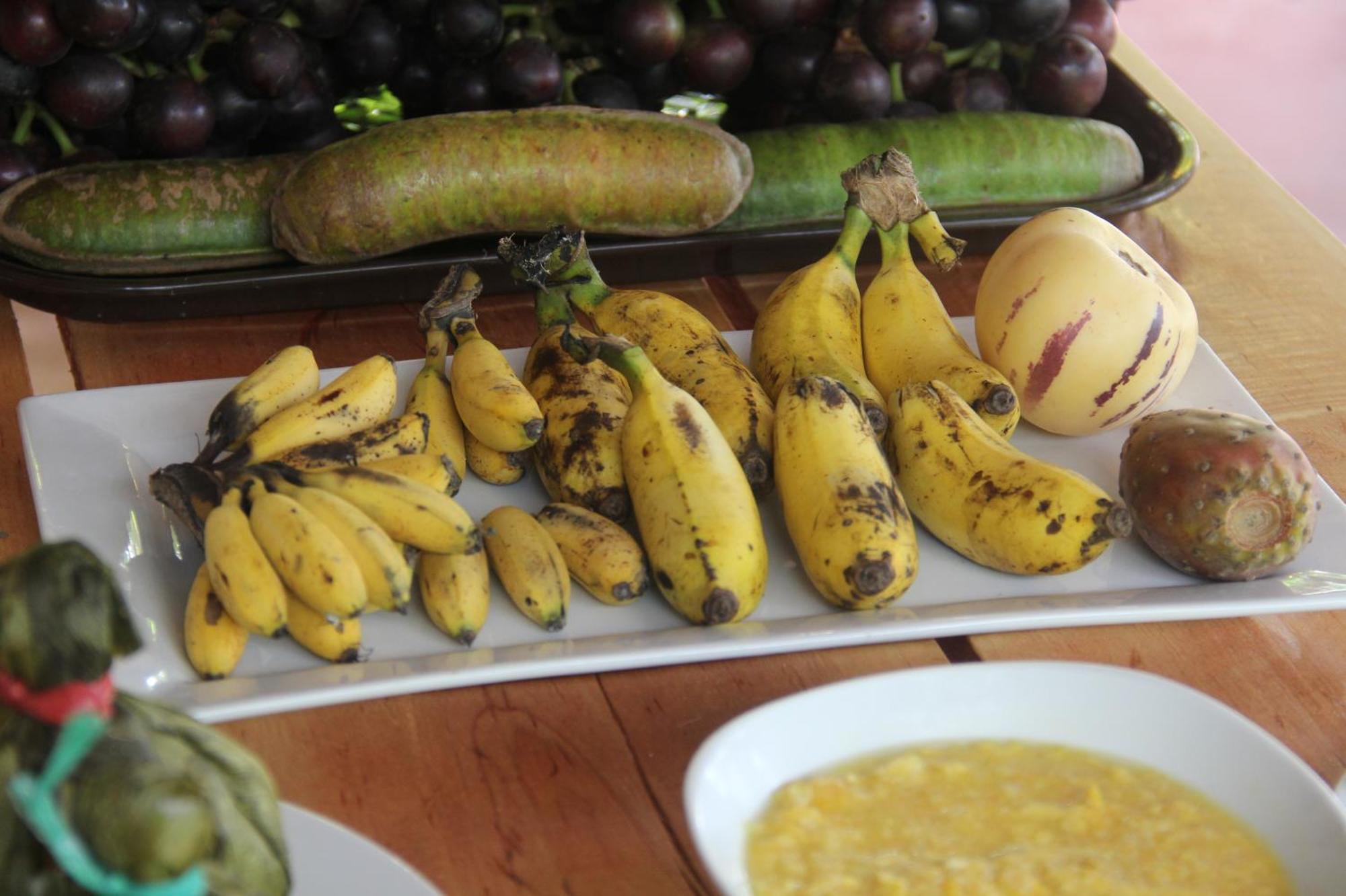 Purachata Ecolodge Iquitos Eksteriør bilde
