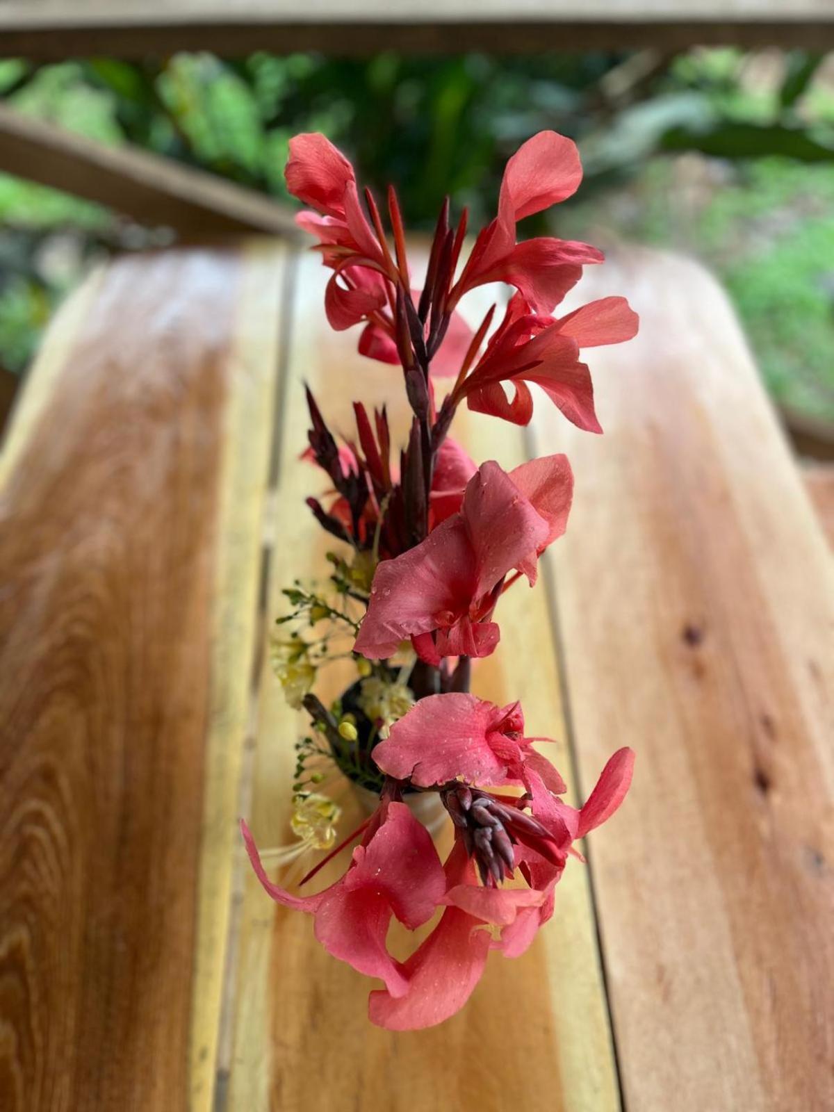 Purachata Ecolodge Iquitos Eksteriør bilde