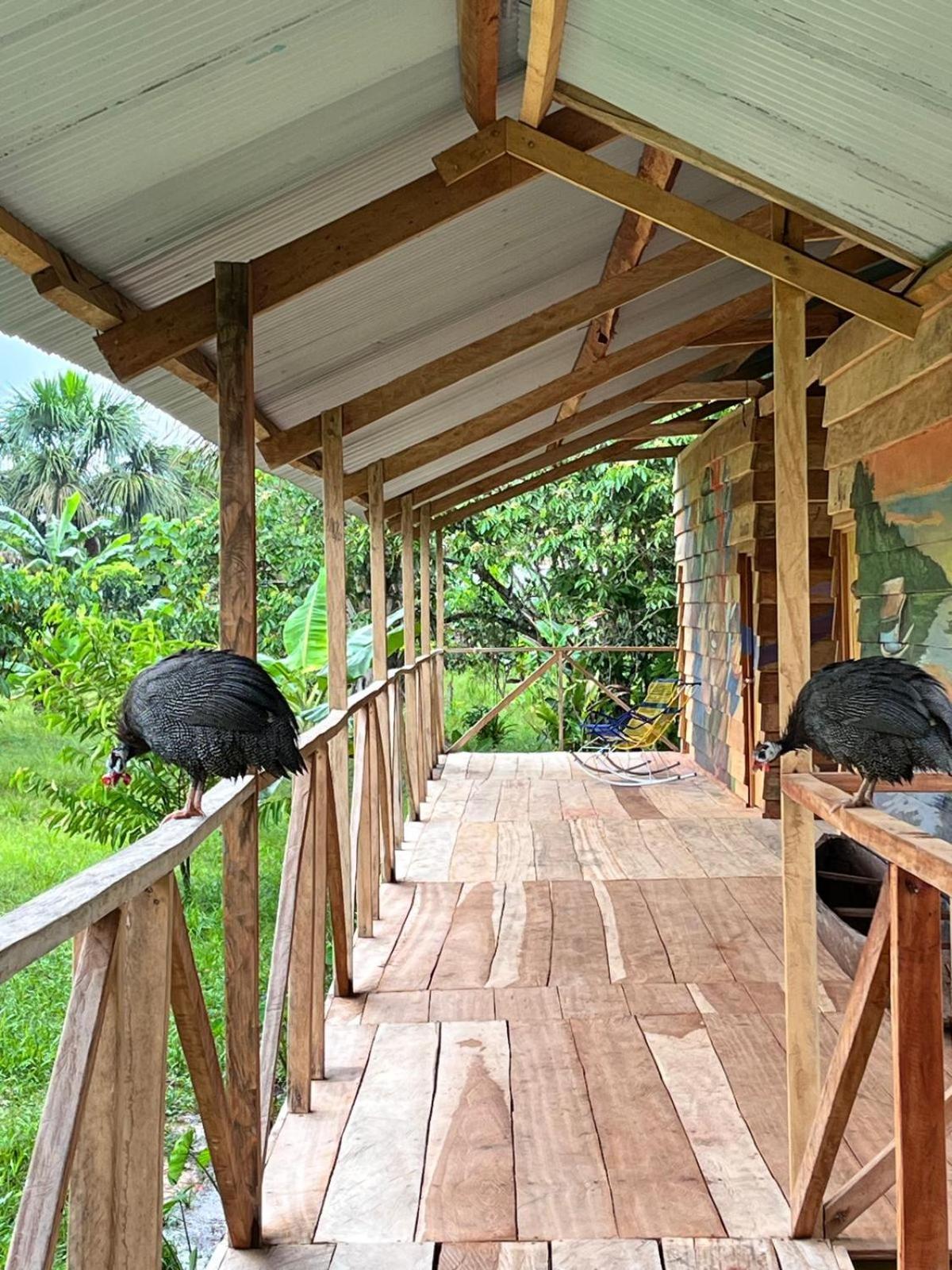 Purachata Ecolodge Iquitos Eksteriør bilde