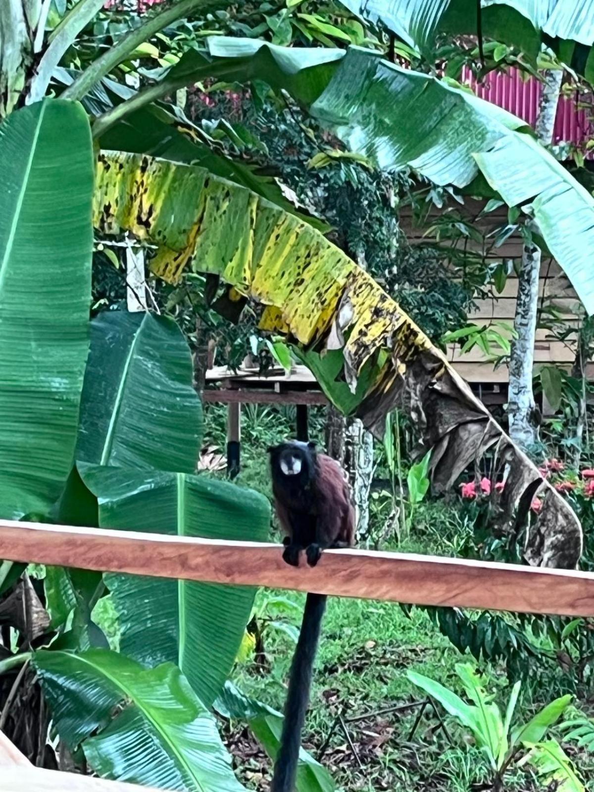 Purachata Ecolodge Iquitos Eksteriør bilde