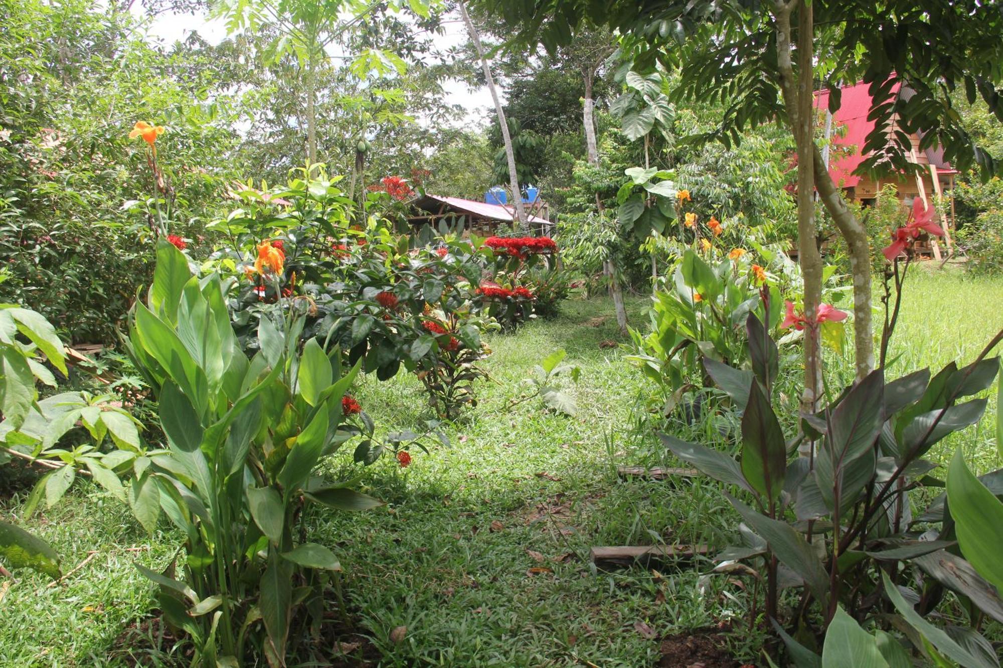 Purachata Ecolodge Iquitos Eksteriør bilde